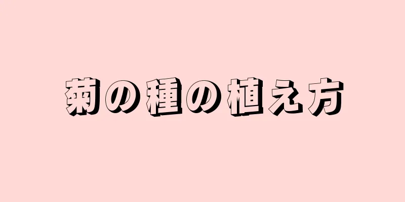 菊の種の植え方