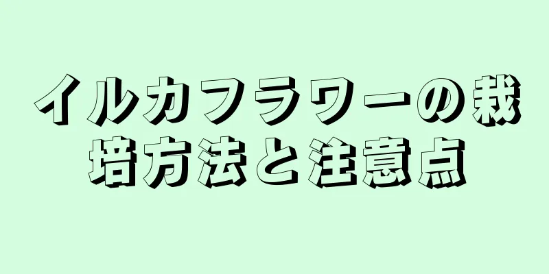 イルカフラワーの栽培方法と注意点