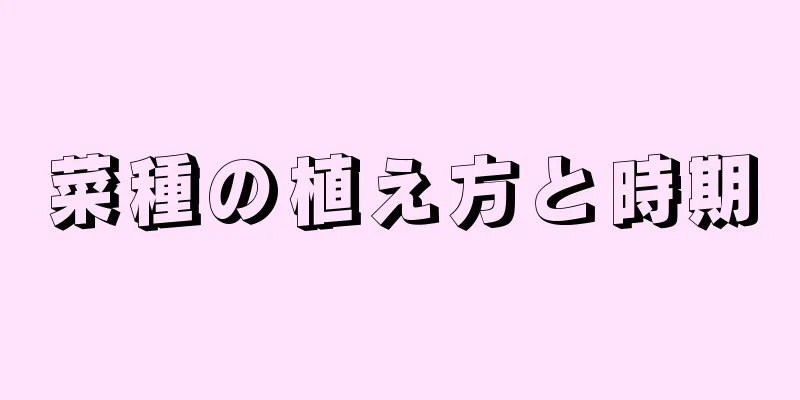 菜種の植え方と時期