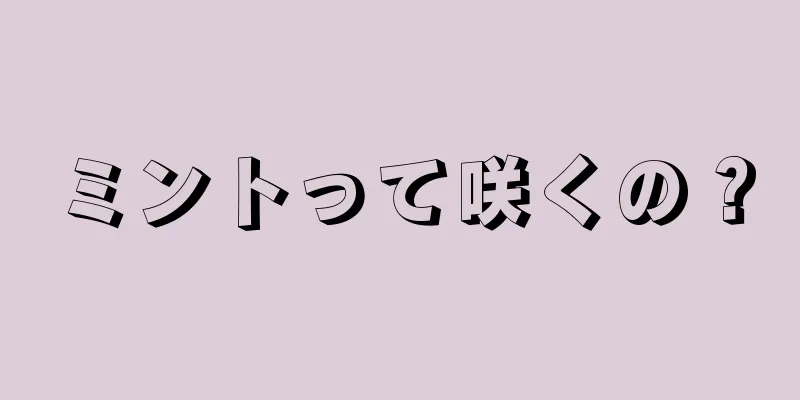 ミントって咲くの？