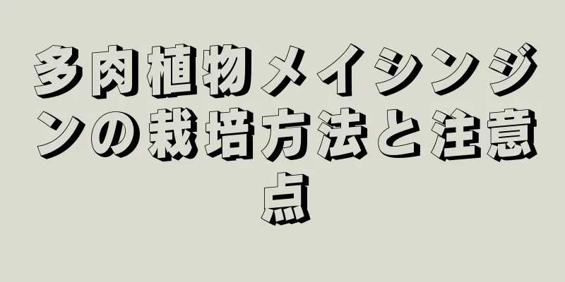多肉植物メイシンジンの栽培方法と注意点