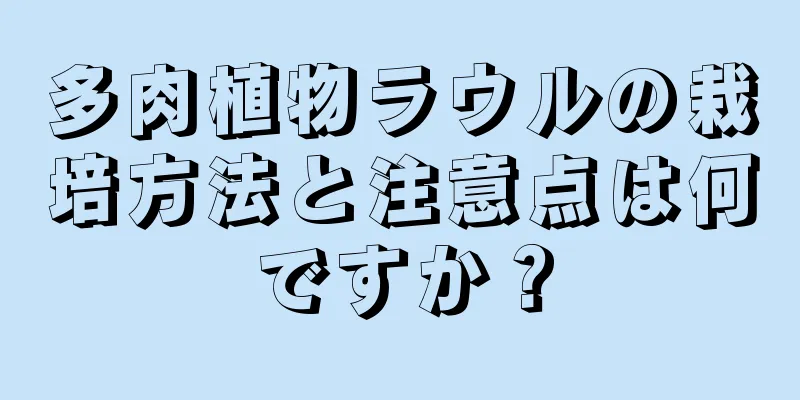 多肉植物ラウルの栽培方法と注意点は何ですか？