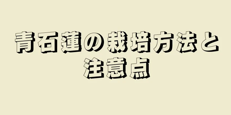 青石蓮の栽培方法と注意点