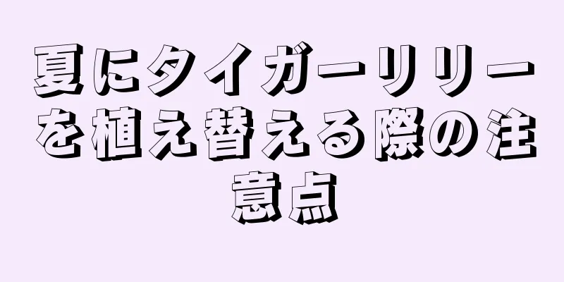 夏にタイガーリリーを植え替える際の注意点