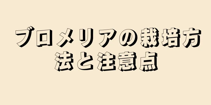 ブロメリアの栽培方法と注意点