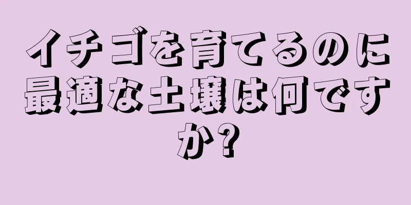 イチゴを育てるのに最適な土壌は何ですか?