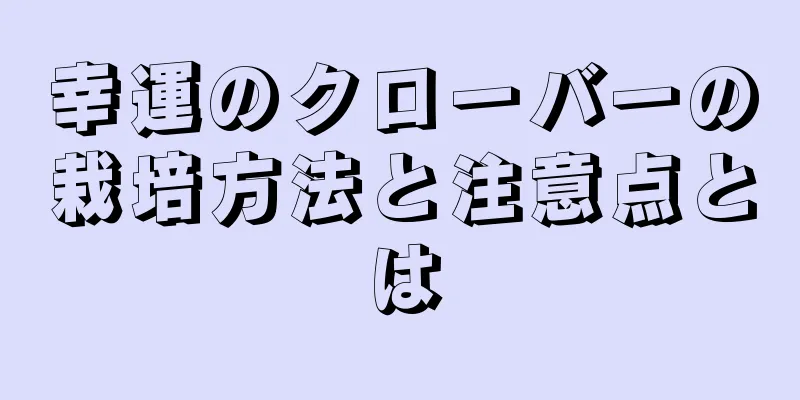 幸運のクローバーの栽培方法と注意点とは