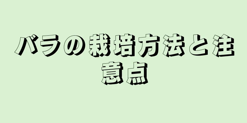 バラの栽培方法と注意点