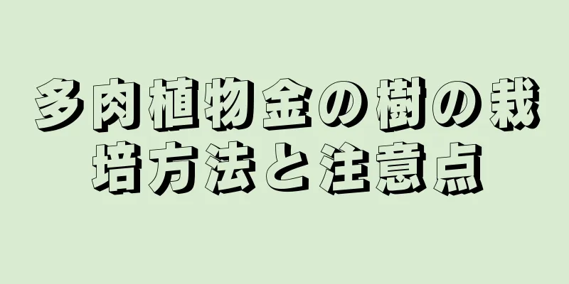 多肉植物金の樹の栽培方法と注意点