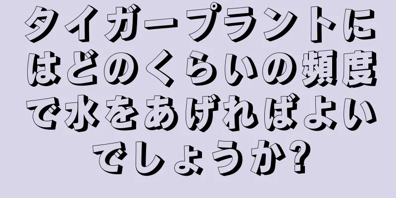 タイガープラントにはどのくらいの頻度で水をあげればよいでしょうか?