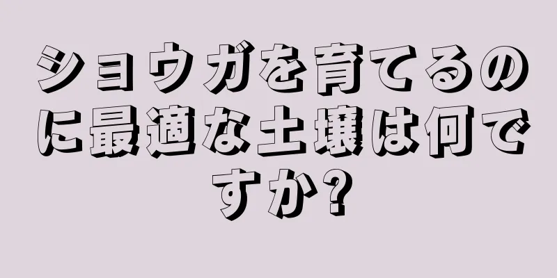 ショウガを育てるのに最適な土壌は何ですか?