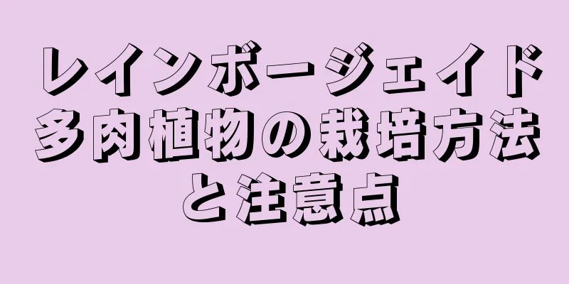 レインボージェイド多肉植物の栽培方法と注意点