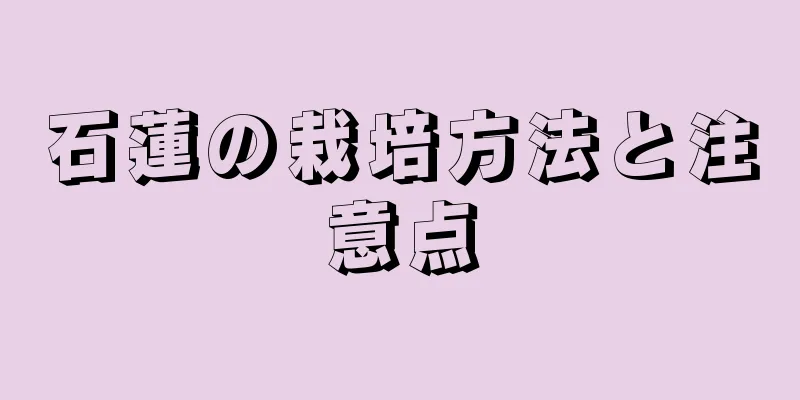 石蓮の栽培方法と注意点