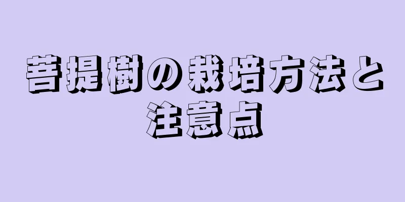 菩提樹の栽培方法と注意点