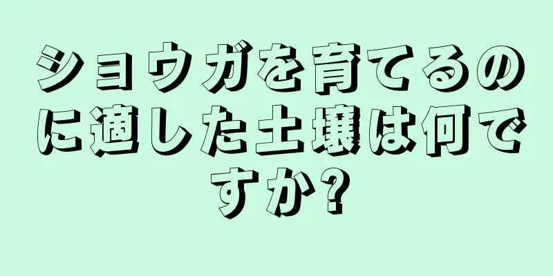 ショウガを育てるのに適した土壌は何ですか?