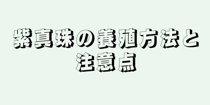 紫真珠の養殖方法と注意点