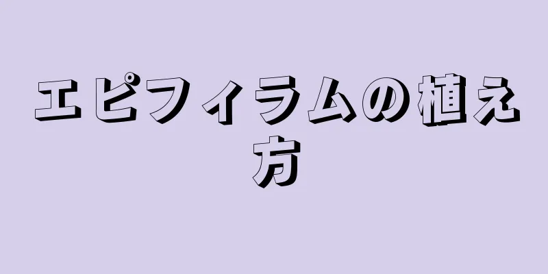エピフィラムの植え方