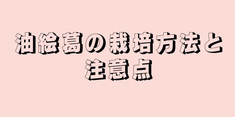 油絵葛の栽培方法と注意点