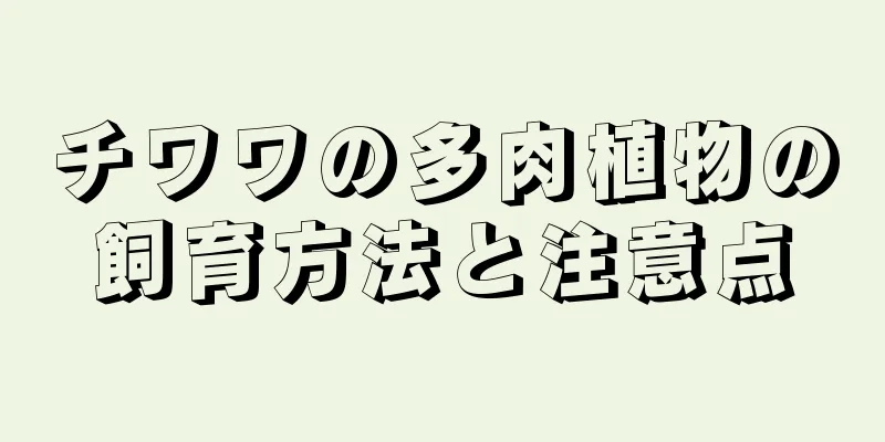 チワワの多肉植物の飼育方法と注意点