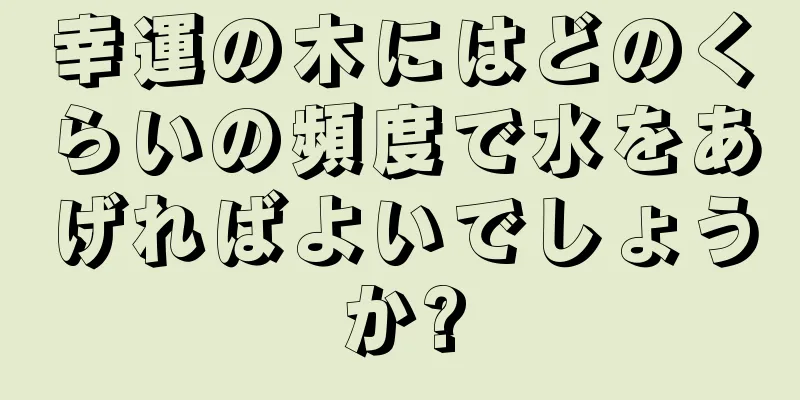 幸運の木にはどのくらいの頻度で水をあげればよいでしょうか?