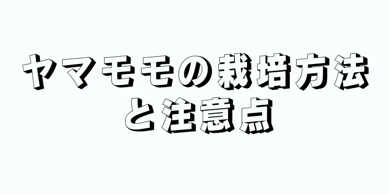 ヤマモモの栽培方法と注意点
