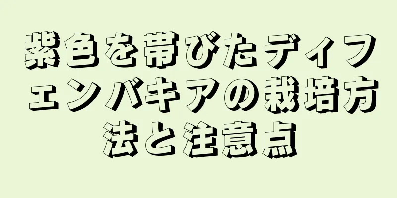 紫色を帯びたディフェンバキアの栽培方法と注意点