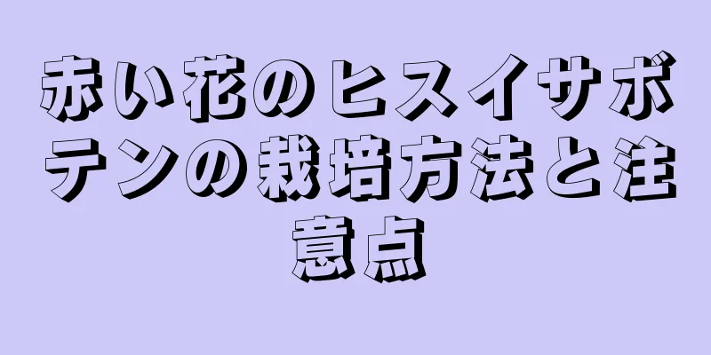 赤い花のヒスイサボテンの栽培方法と注意点