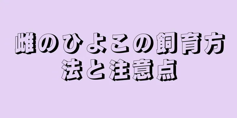 雌のひよこの飼育方法と注意点
