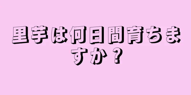 里芋は何日間育ちますか？