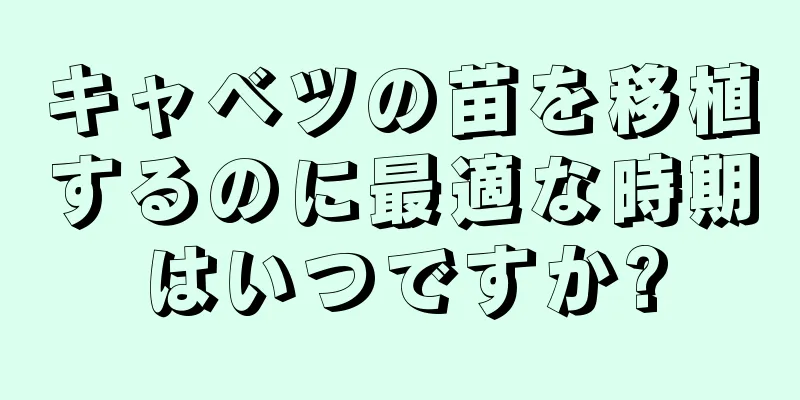 キャベツの苗を移植するのに最適な時期はいつですか?