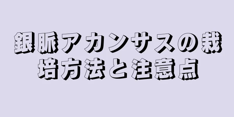 銀脈アカンサスの栽培方法と注意点