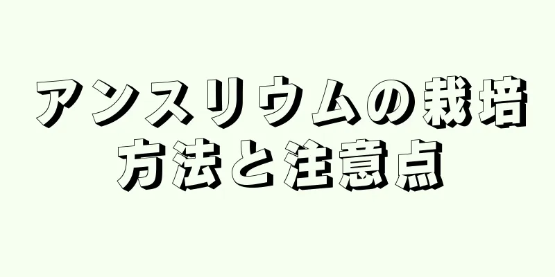 アンスリウムの栽培方法と注意点