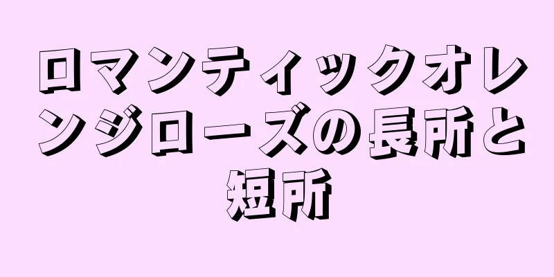 ロマンティックオレンジローズの長所と短所