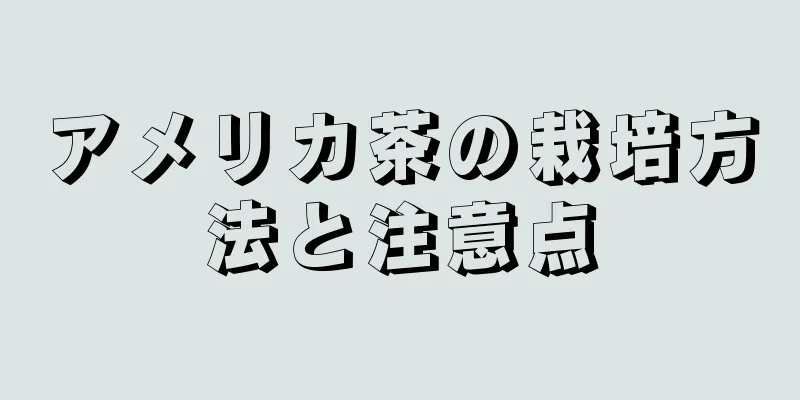 アメリカ茶の栽培方法と注意点