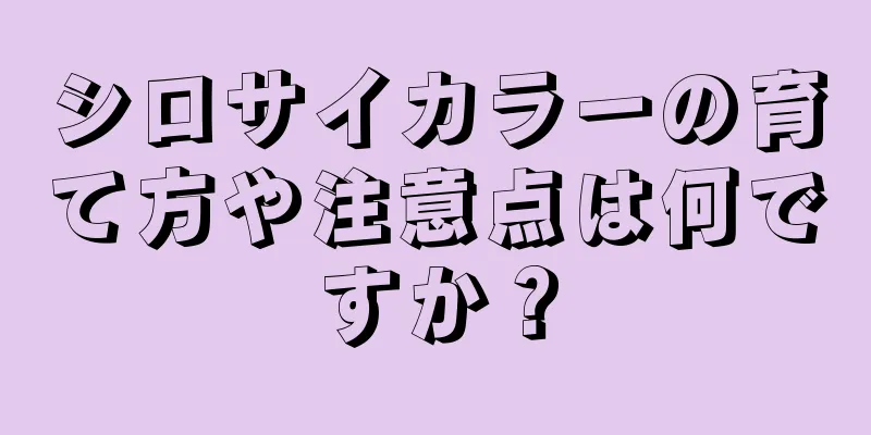 シロサイカラーの育て方や注意点は何ですか？