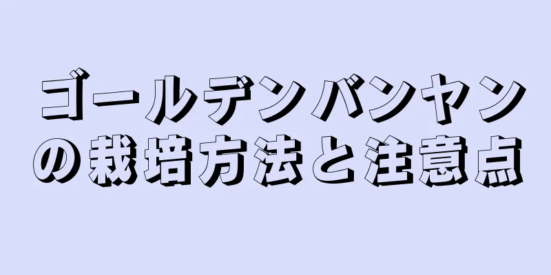 ゴールデンバンヤンの栽培方法と注意点