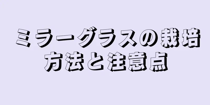 ミラーグラスの栽培方法と注意点
