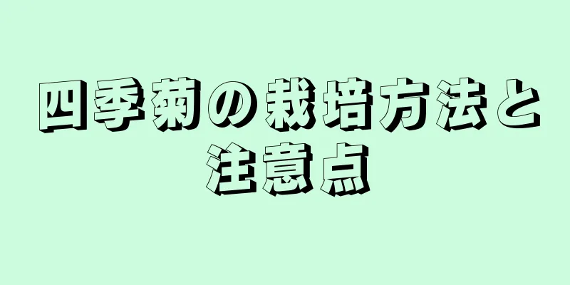 四季菊の栽培方法と注意点