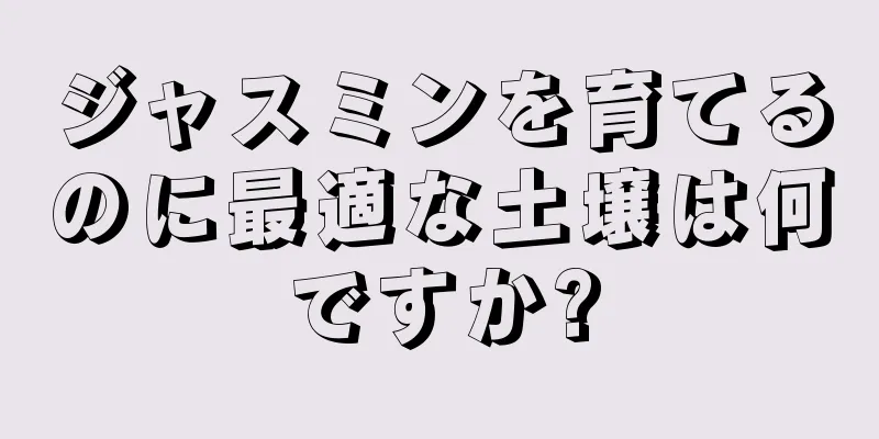 ジャスミンを育てるのに最適な土壌は何ですか?