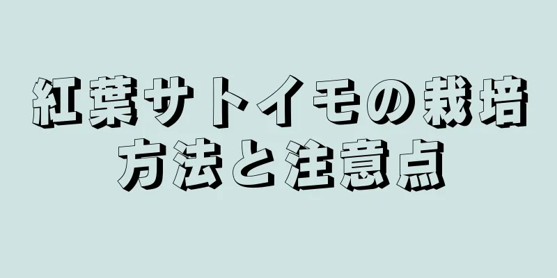 紅葉サトイモの栽培方法と注意点