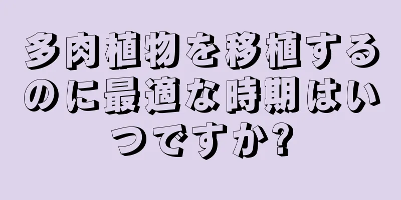 多肉植物を移植するのに最適な時期はいつですか?