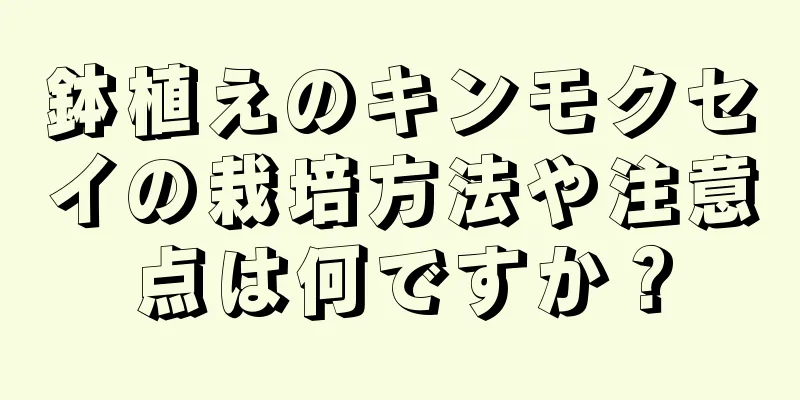 鉢植えのキンモクセイの栽培方法や注意点は何ですか？