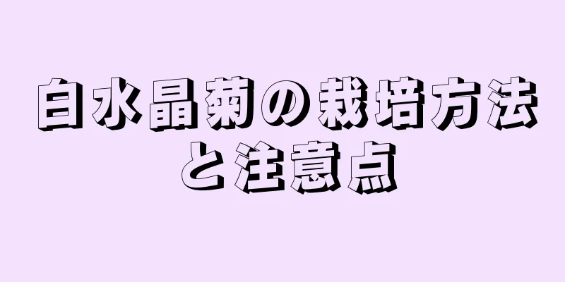 白水晶菊の栽培方法と注意点