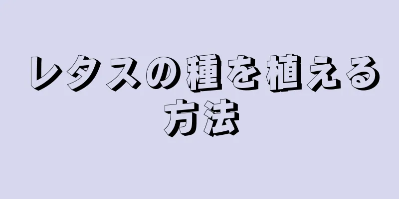 レタスの種を植える方法