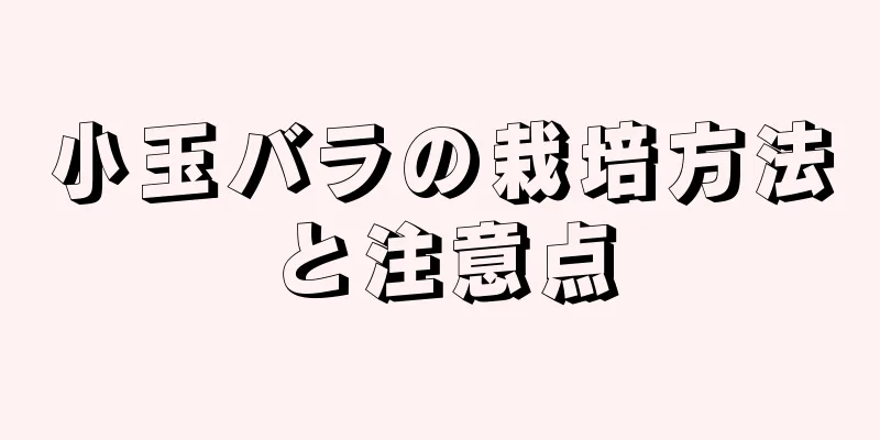 小玉バラの栽培方法と注意点