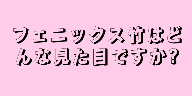 フェニックス竹はどんな見た目ですか?