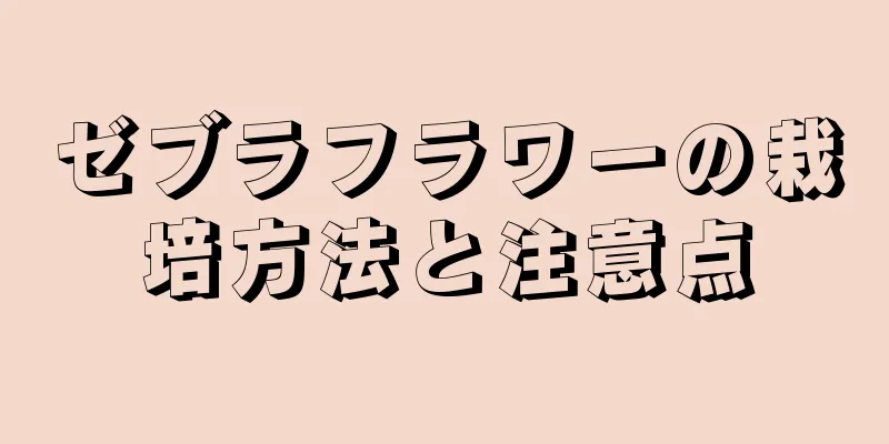 ゼブラフラワーの栽培方法と注意点