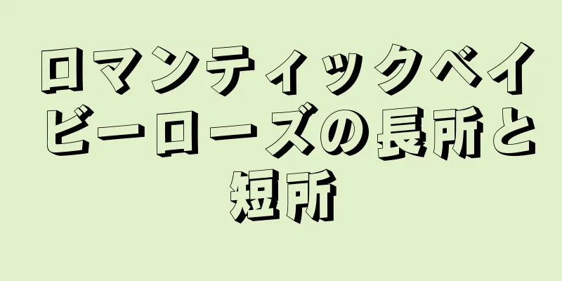 ロマンティックベイビーローズの長所と短所