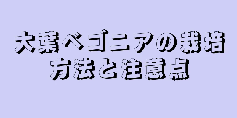 大葉ベゴニアの栽培方法と注意点