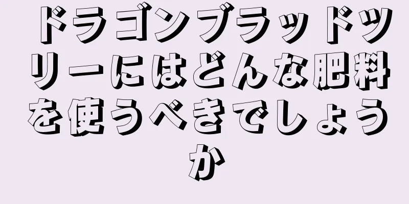 ドラゴンブラッドツリーにはどんな肥料を使うべきでしょうか